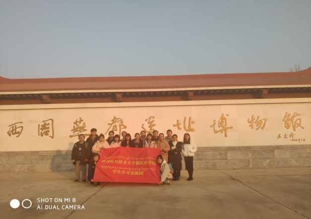 18981cbcfeac42868a30a9c16158ce41.Jpeg